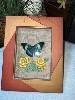 Red Flasher Vibrant Vintage Butterfly Taxidermy Art Decor Frame Soulstone